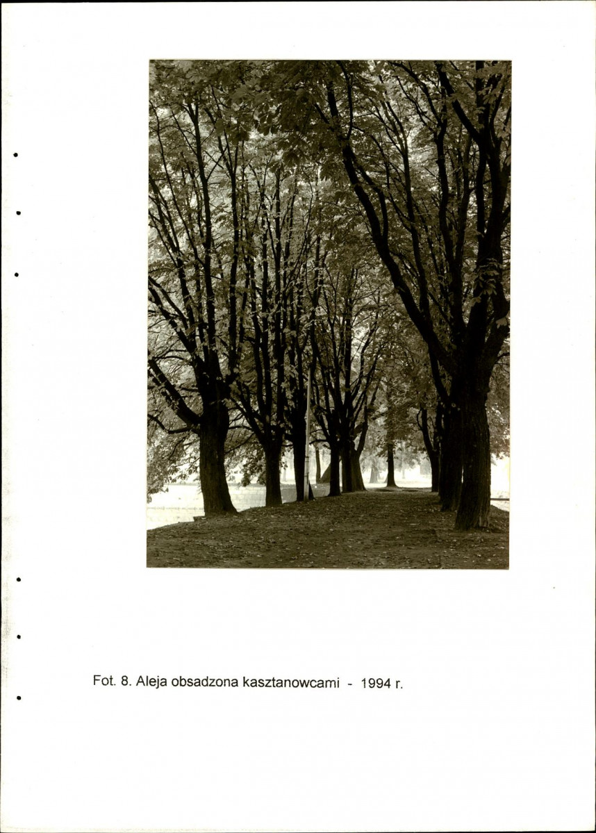 Ewidencja parkowa, skan nr 33