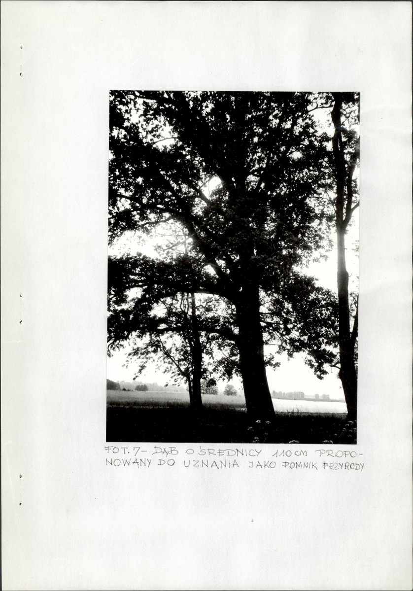 EP - Ewidencja parkowa, skan nr 22