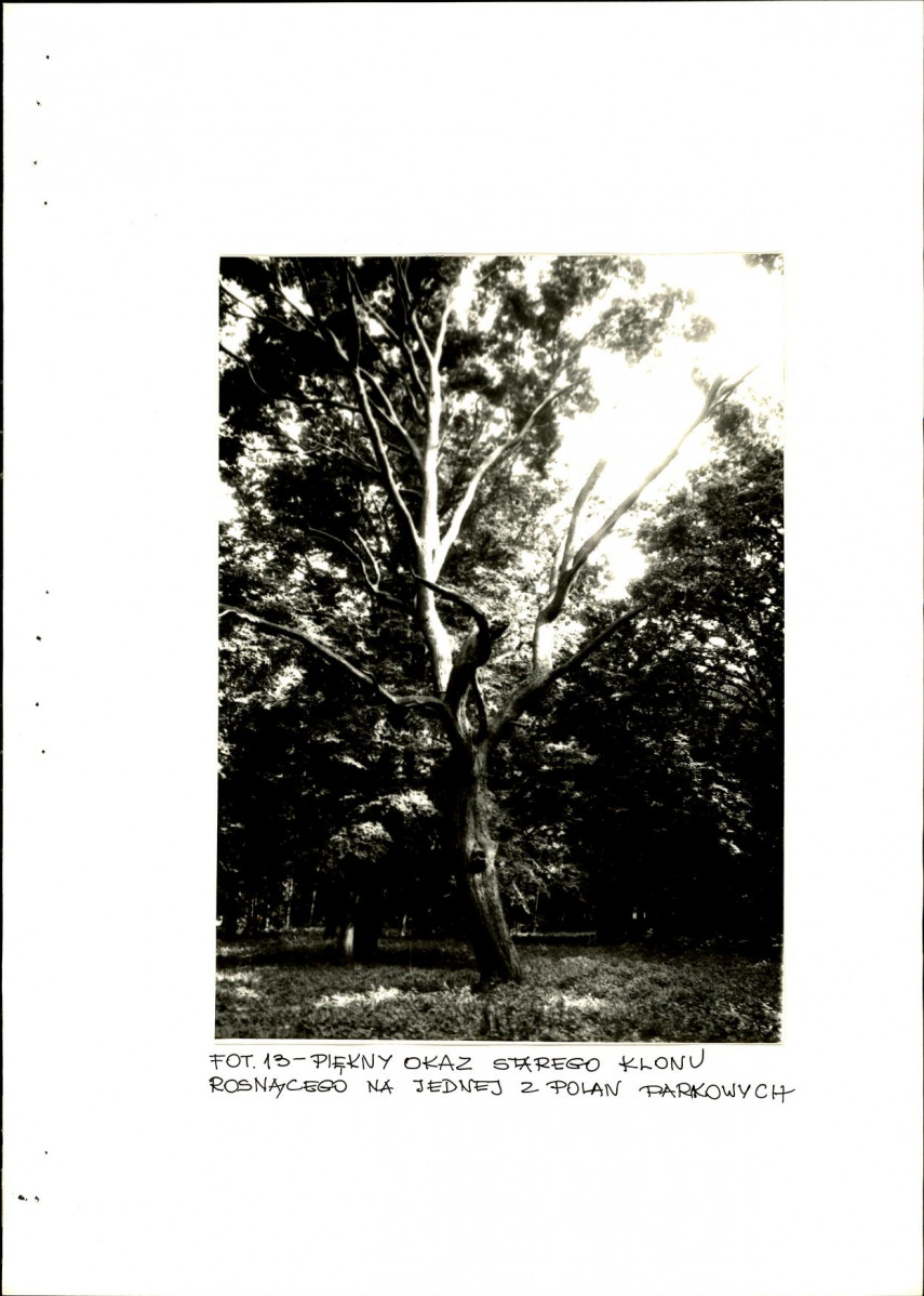EP - Ewidencja parkowa, skan nr 54