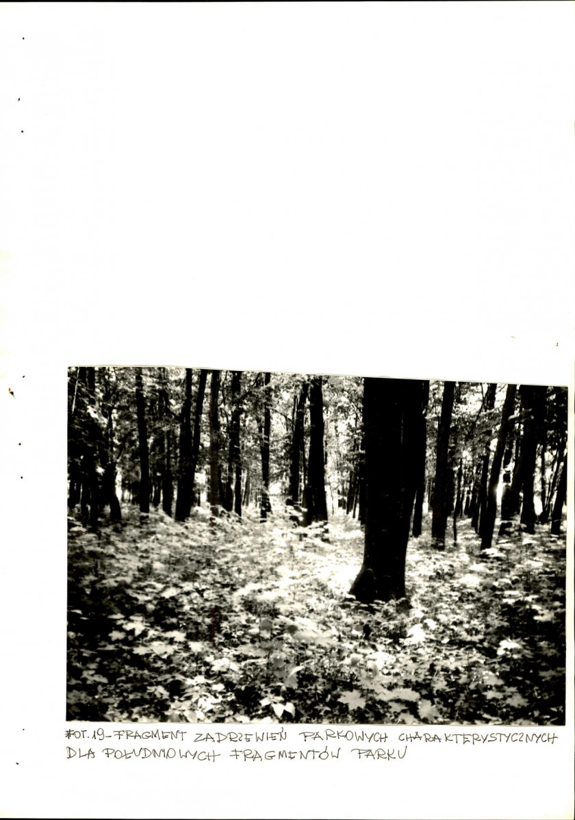 EP - Ewidencja parkowa, skan nr 60
