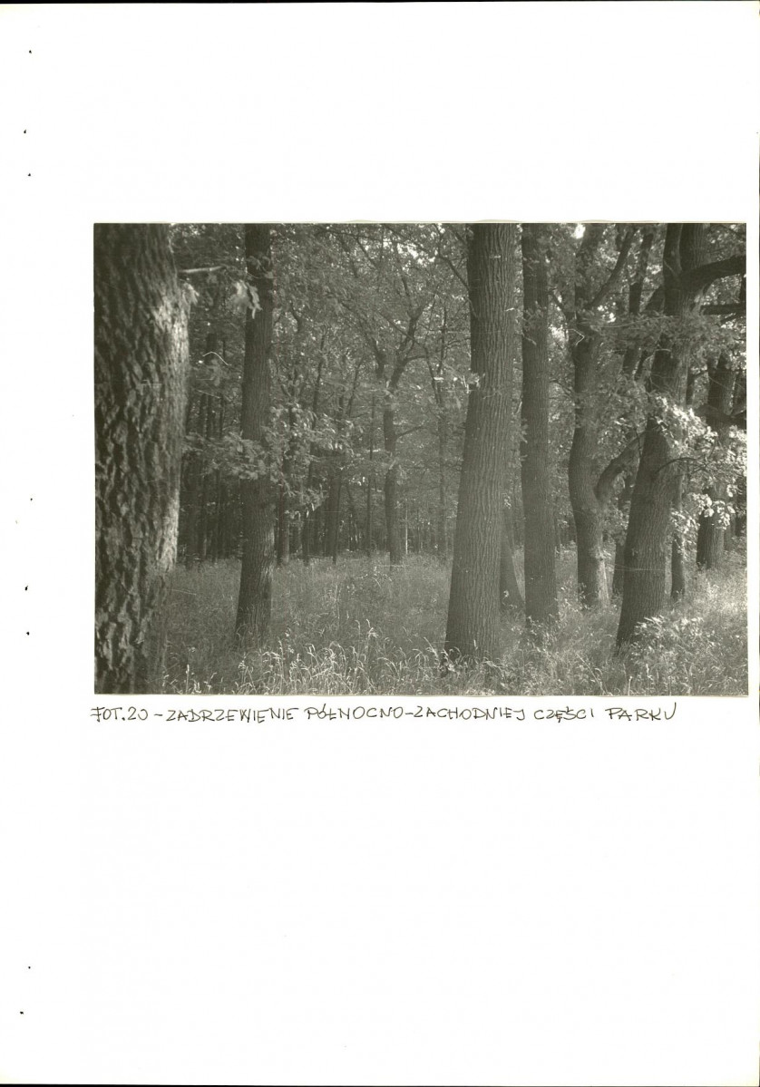 EP - Ewidencja parkowa, skan nr 61