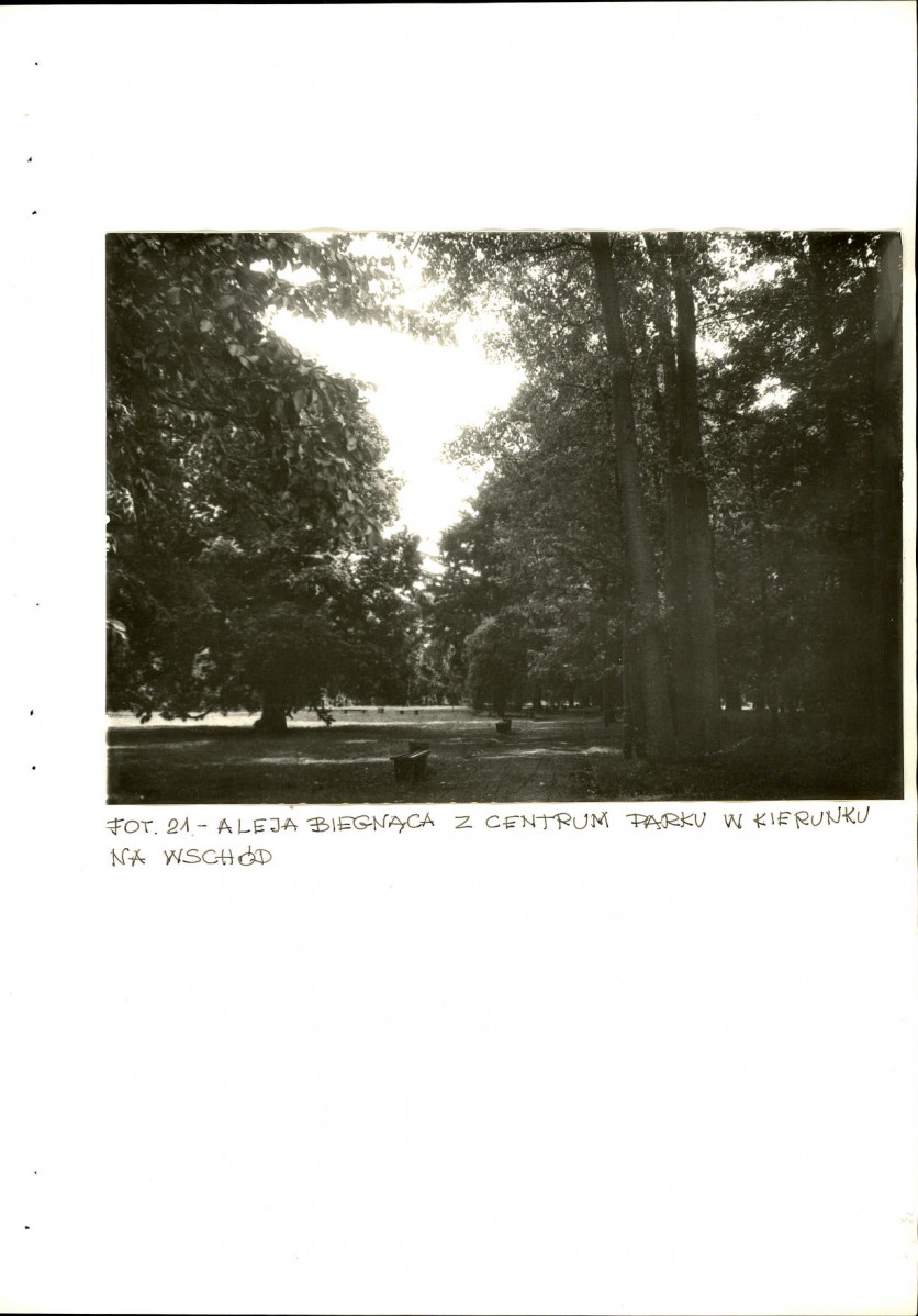 EP - Ewidencja parkowa, skan nr 62