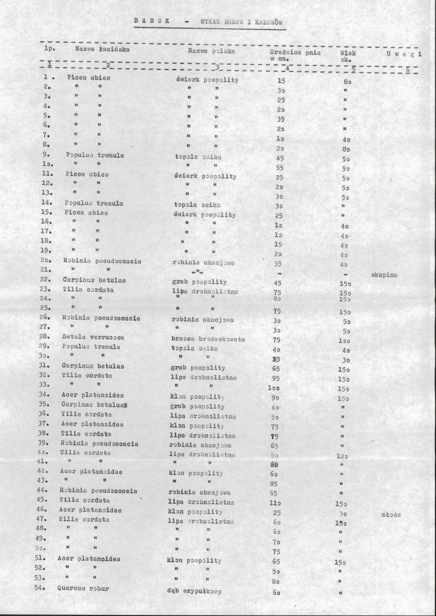 Ewidencja parkowa, skan nr 16