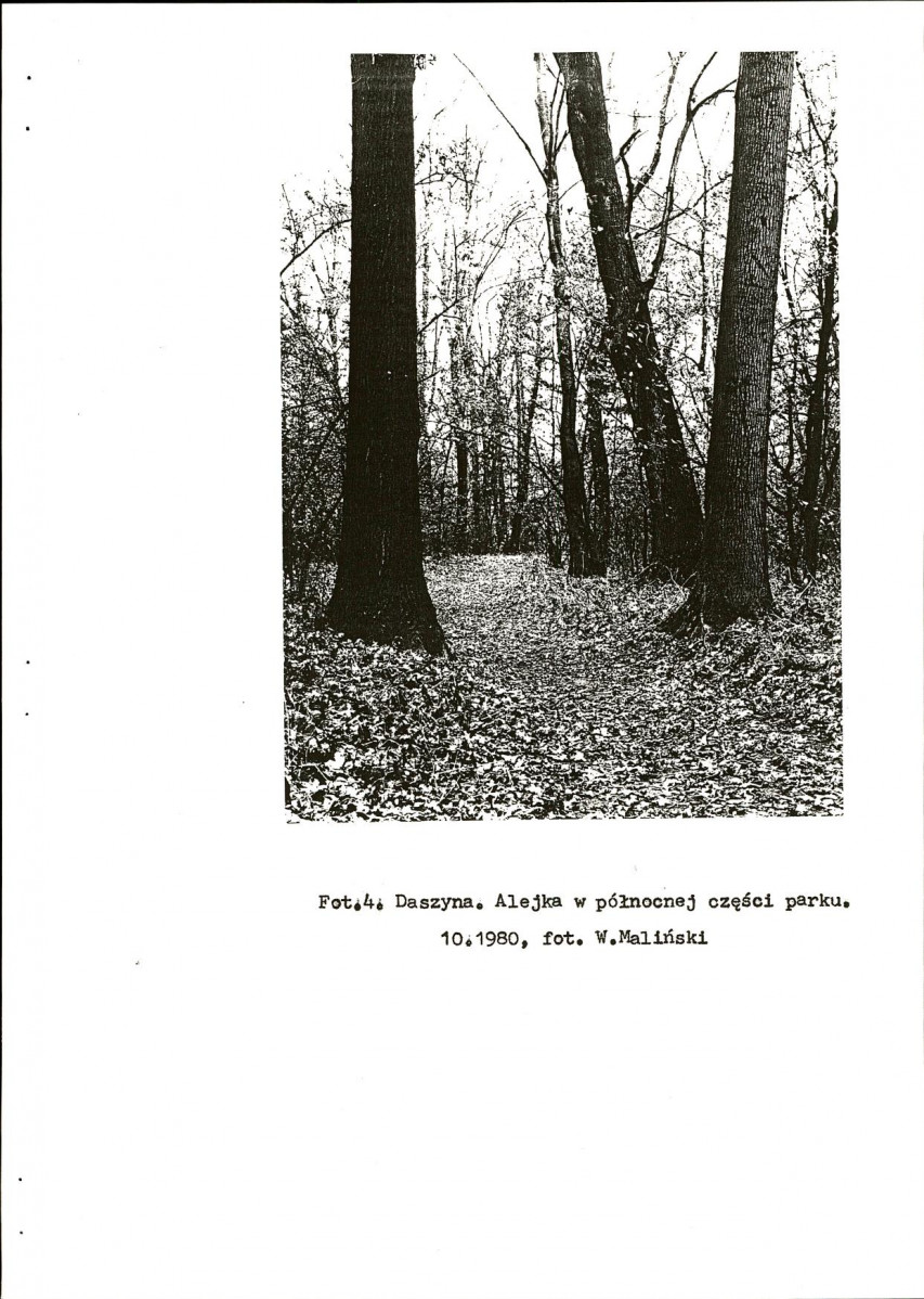 Ewidencja parkowa, skan nr 15