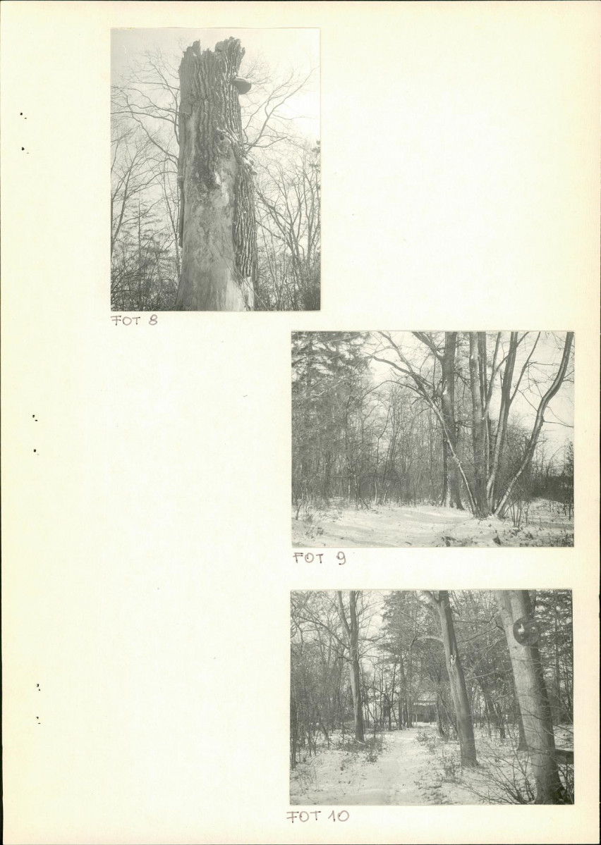 EP - Ewidencja parkowa, skan nr 21