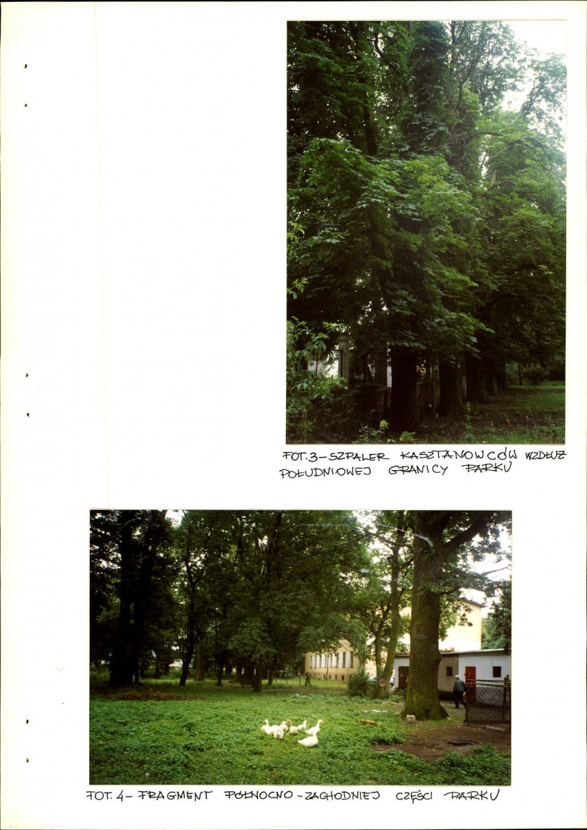 Ewidencja parkowa, skan nr 21