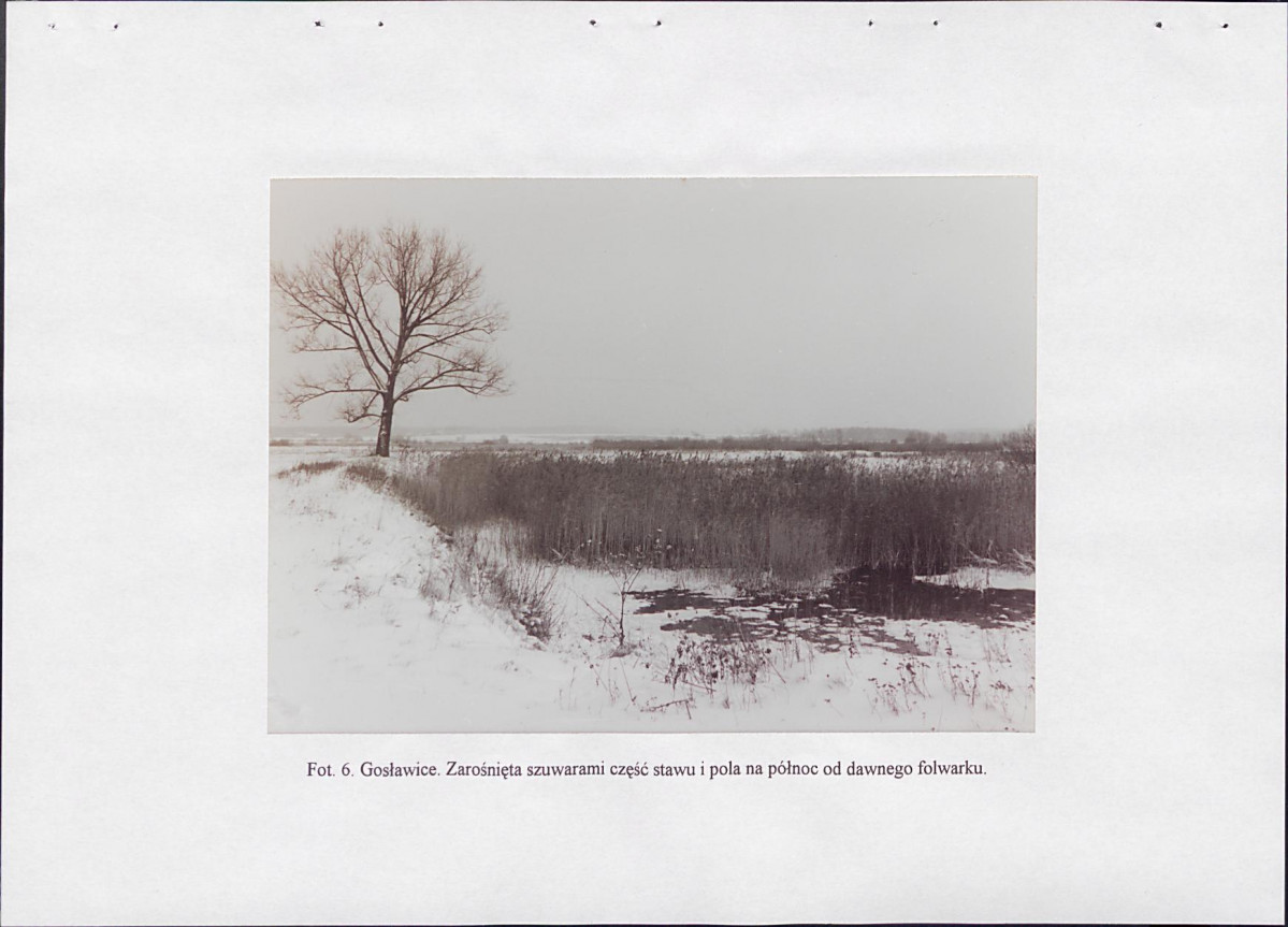 EP - Ewidencja parkowa, skan nr 22
