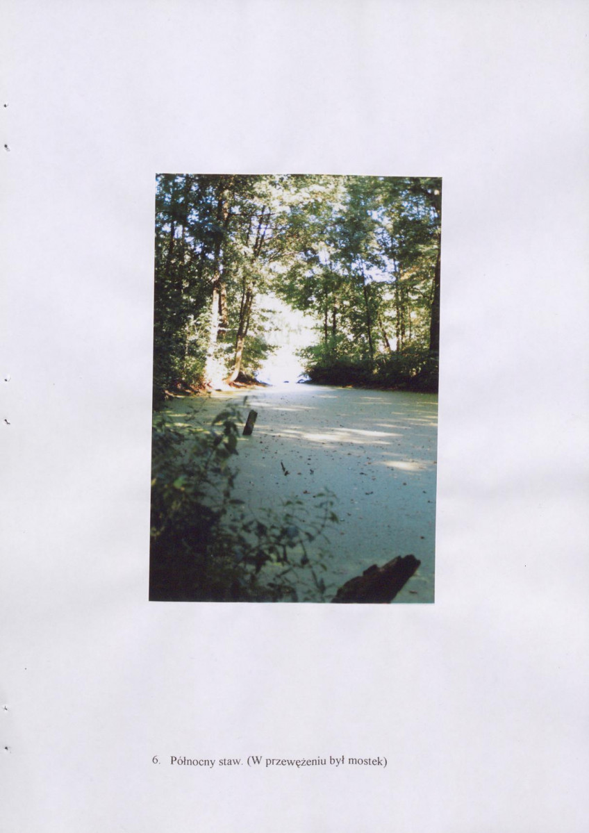 EP - Ewidencja parkowa, skan nr 32