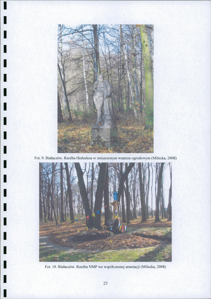 Ewidencja parkowa, skan nr 27