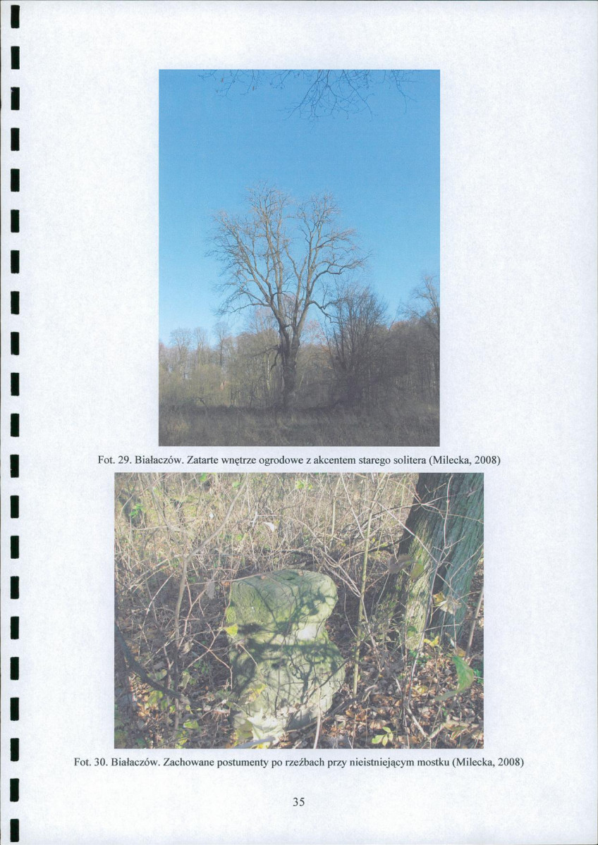 Ewidencja parkowa, skan nr 37