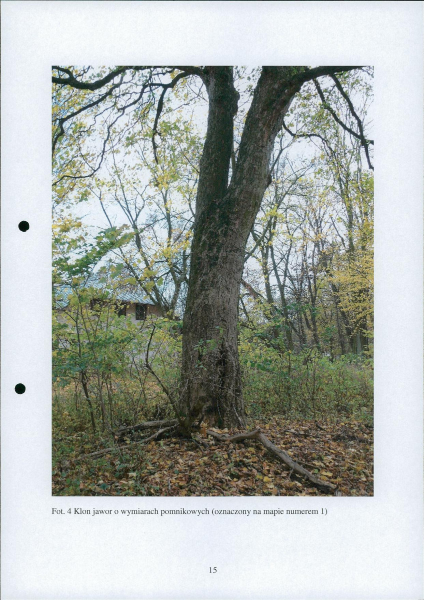 Ewidencja parkowa, skan nr 16