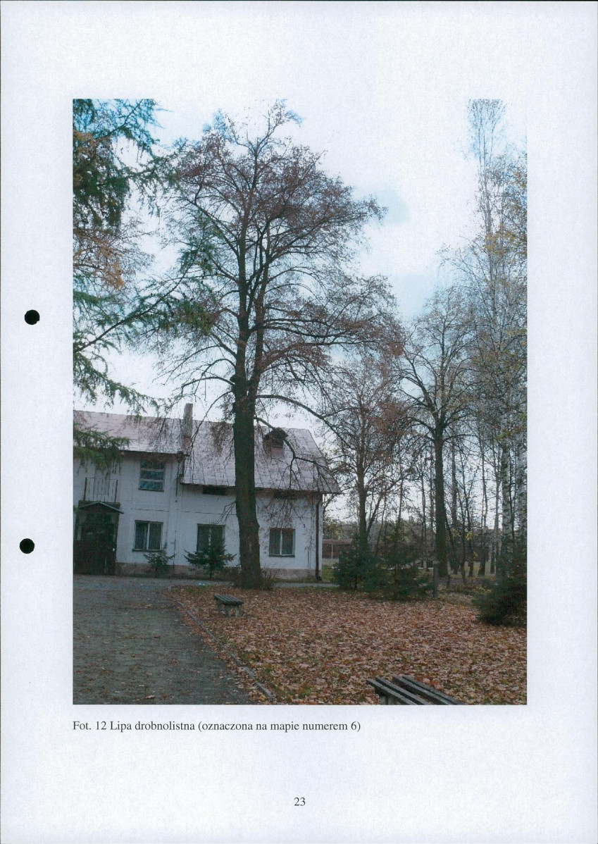 Ewidencja parkowa, skan nr 24