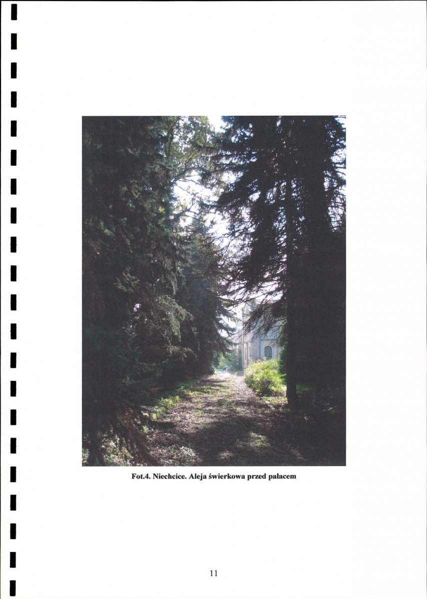Ewidencja parkowa, skan nr 13