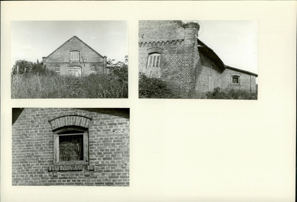 Karta biała, skan nr 6