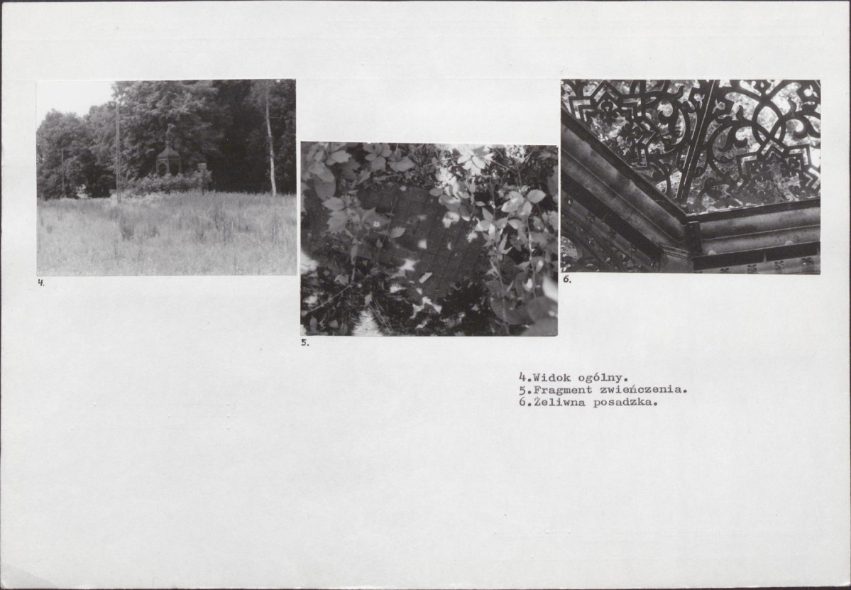 KB - Karta biała, skan nr 6