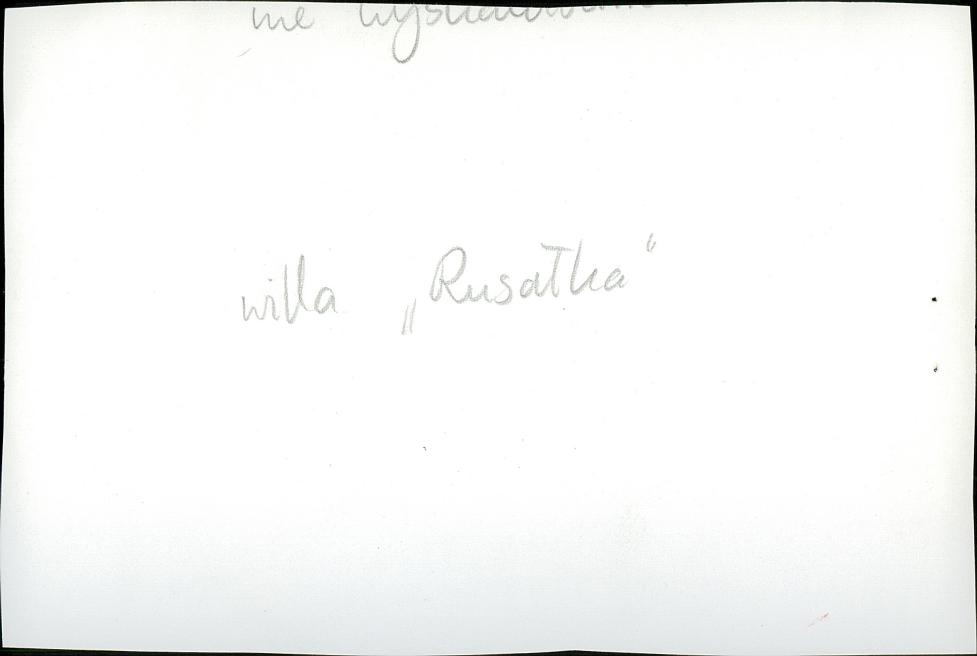 Karta zielona, skan nr 4