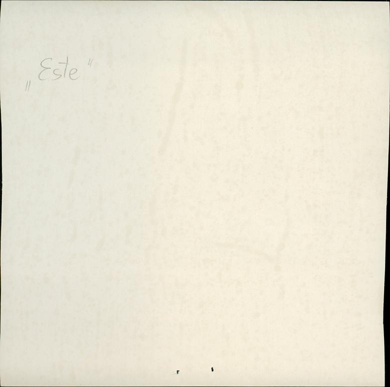 Karta zielona, skan nr 4