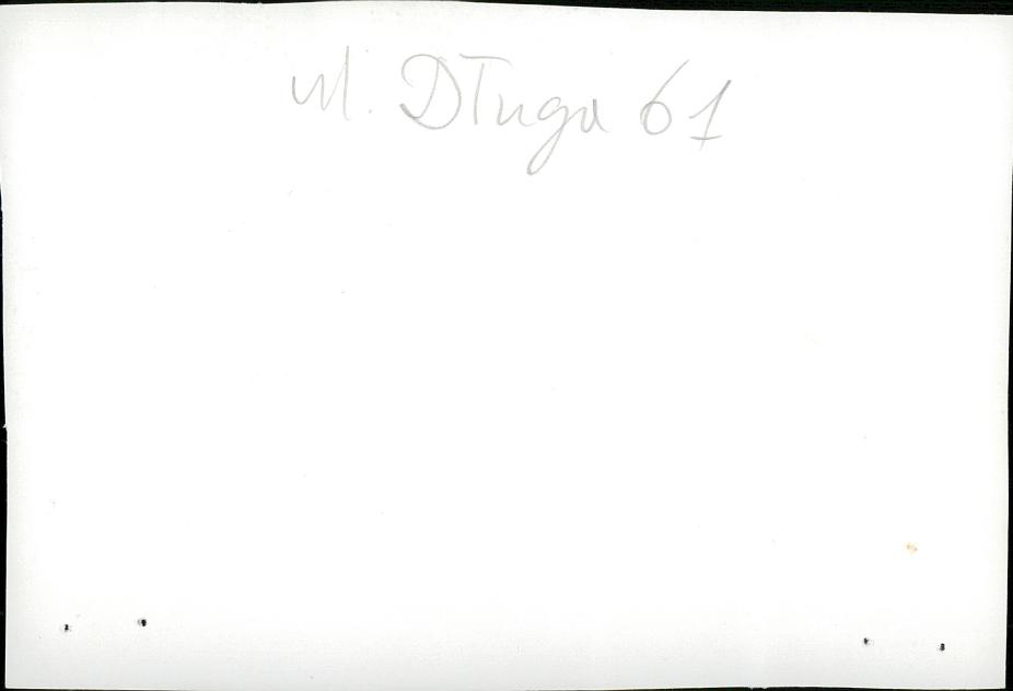 Karta zielona, skan nr 4