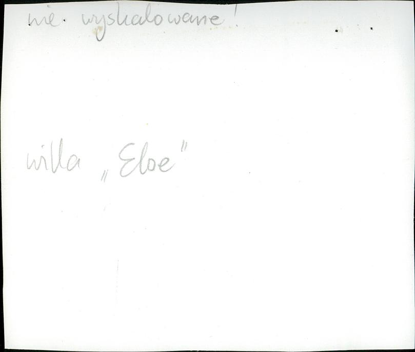 Karta zielona, skan nr 6