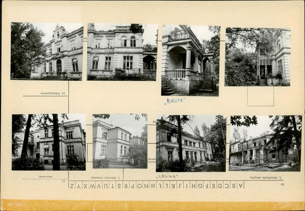 Karta zielona, skan nr 3