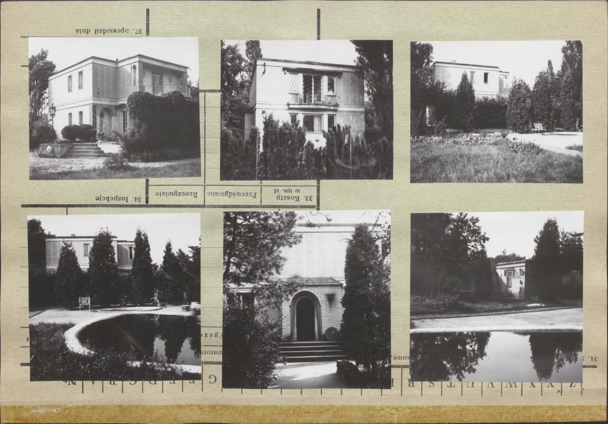 Karta zielona, skan nr 2