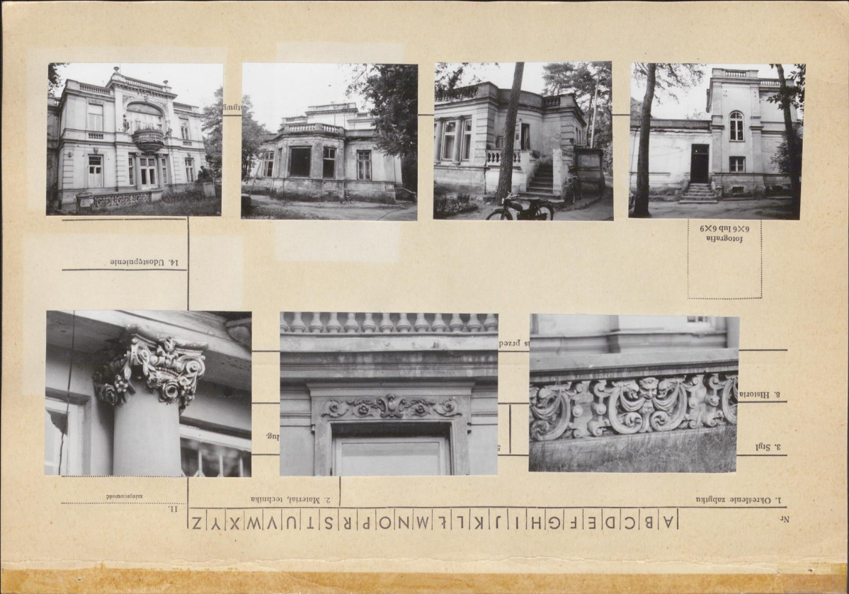 Karta zielona, skan nr 3