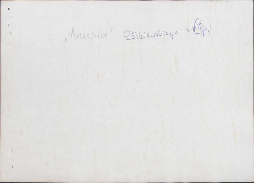 Karta zielona, skan nr 4