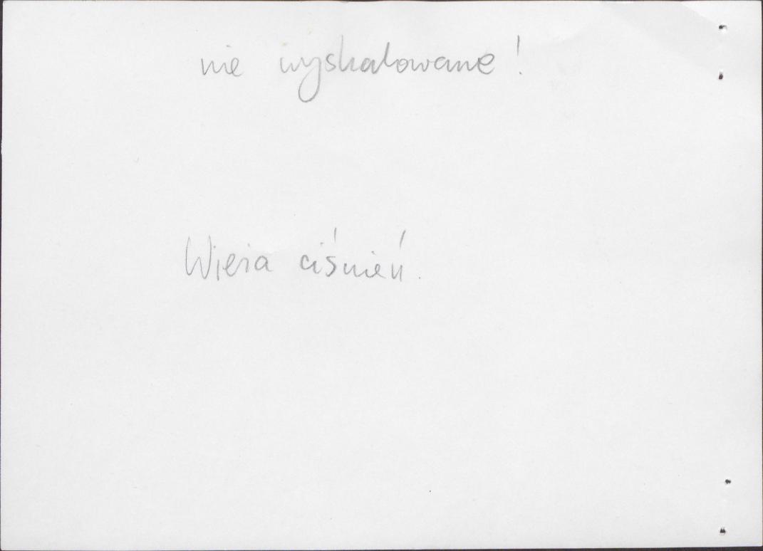 Karta zielona, skan nr 4