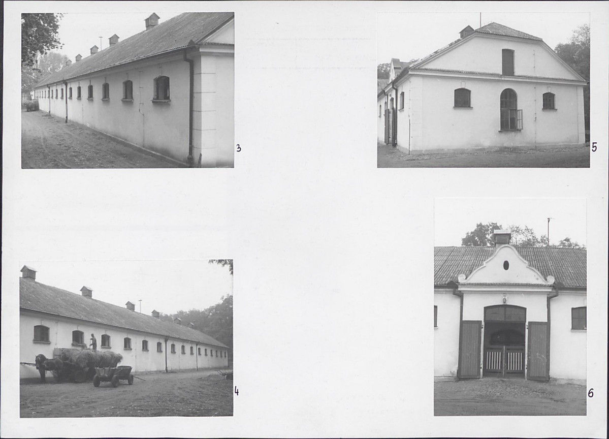 Karta biała, skan nr 6