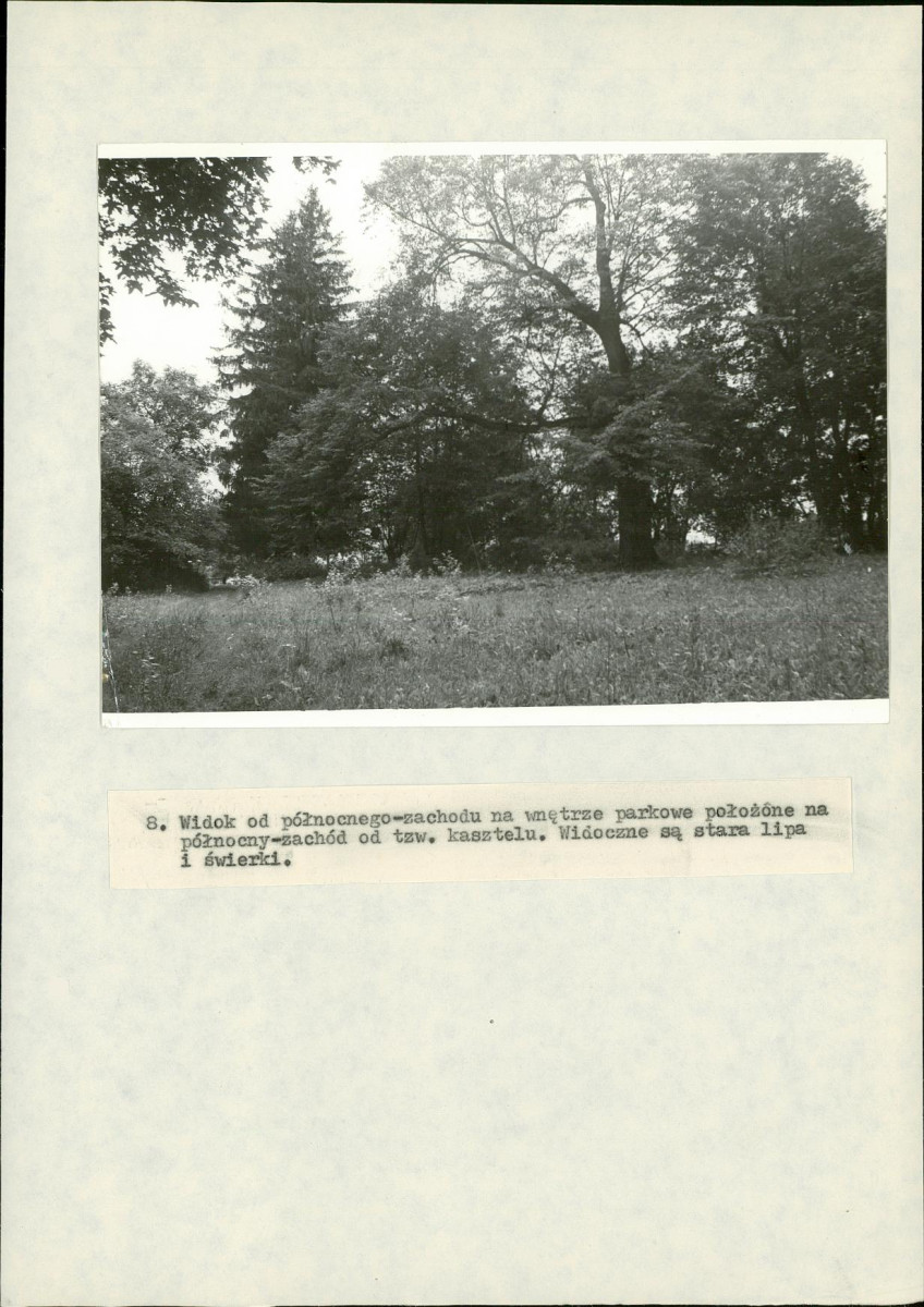 Ewidencja parkowa, skan nr 39