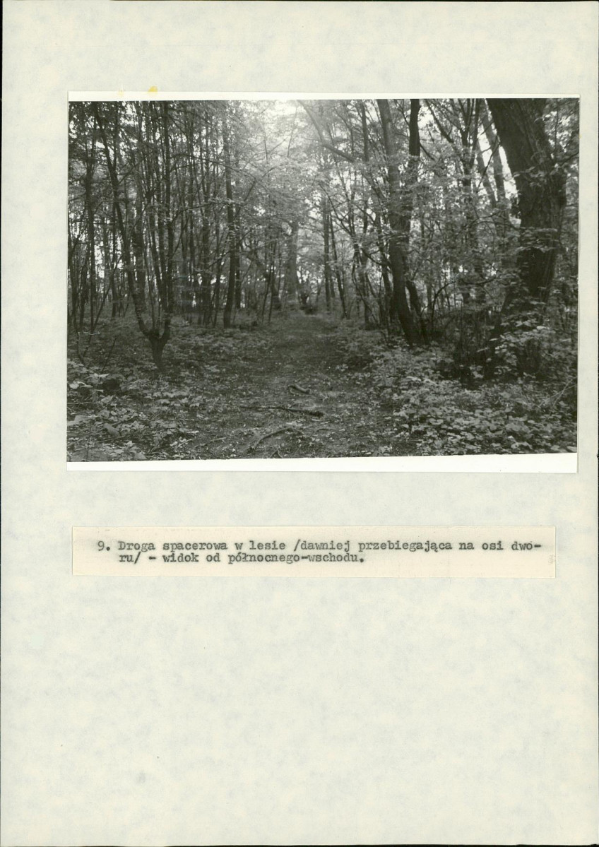 Ewidencja parkowa, skan nr 40