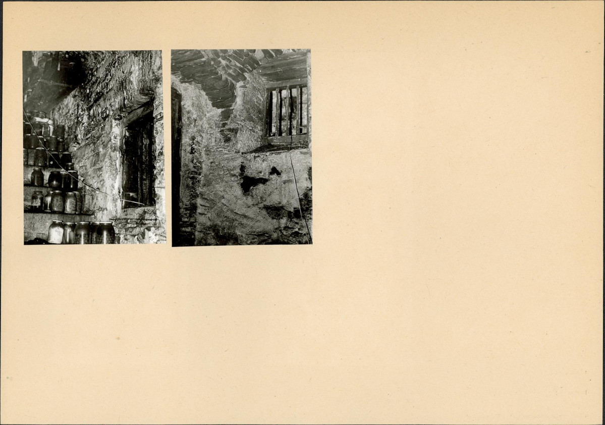 Karta biała, skan nr 6