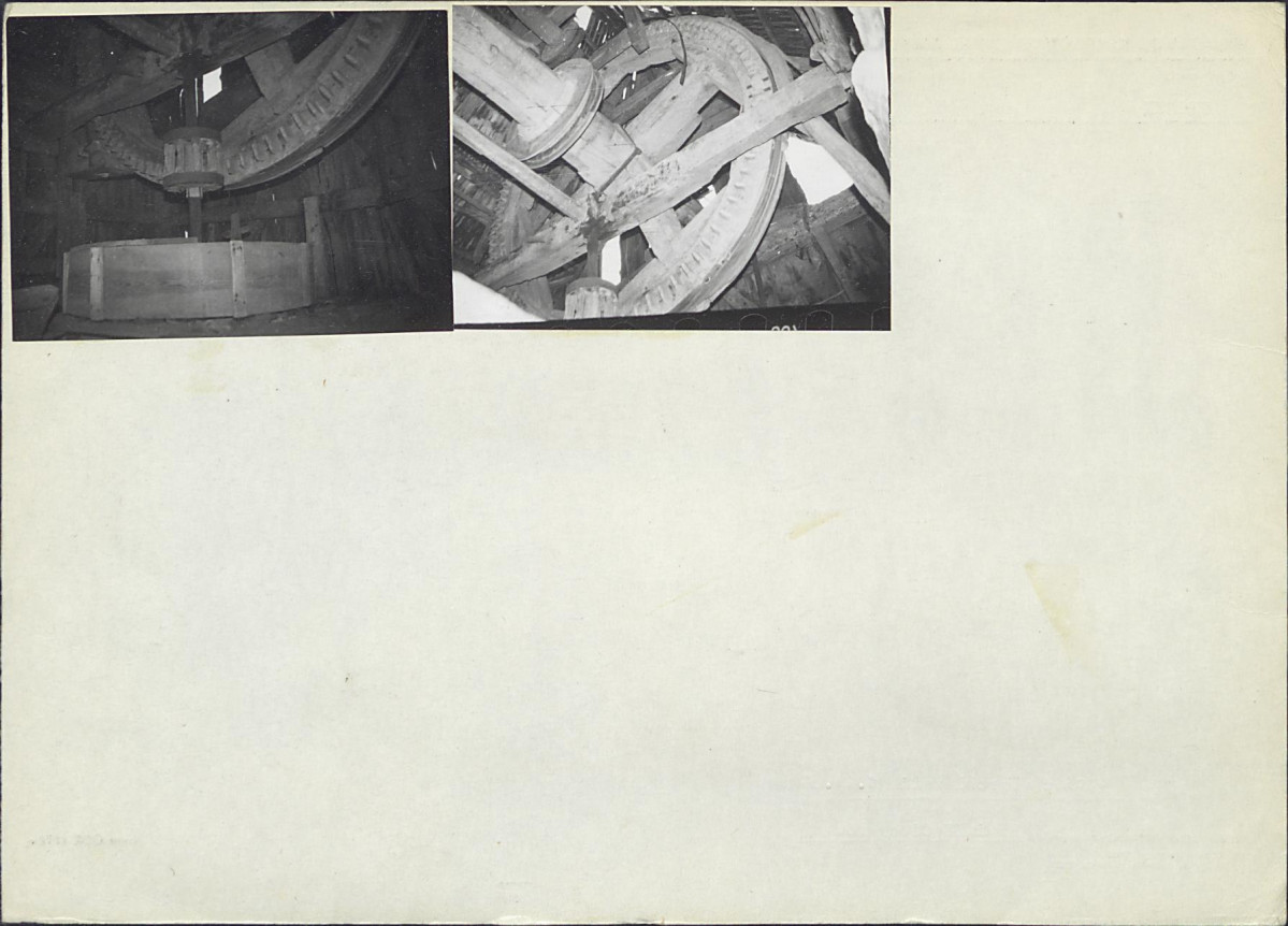 Karta biała, skan nr 8