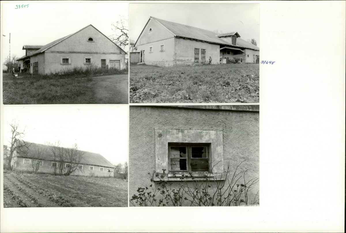 Karta biała, skan nr 6