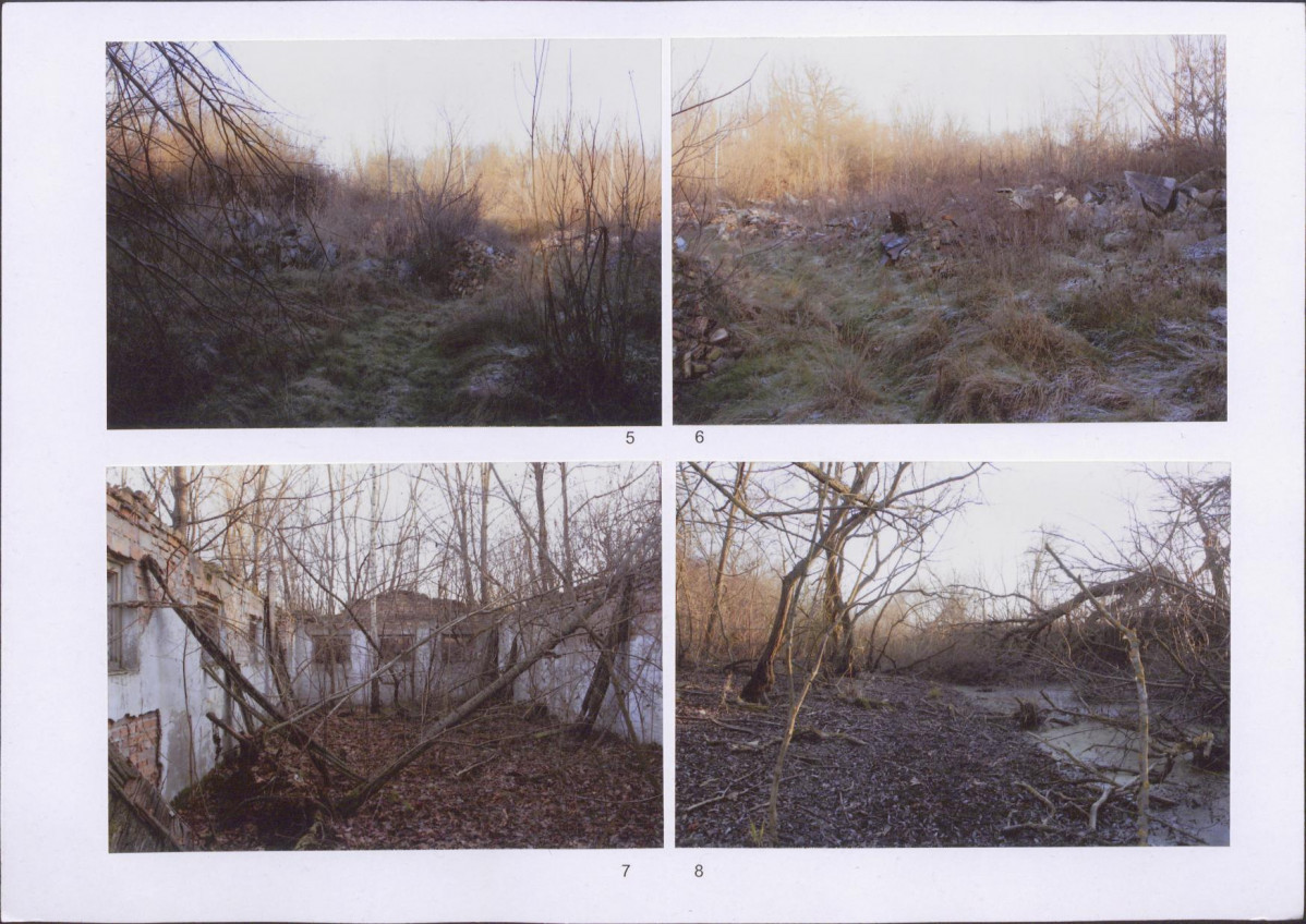 Karta biała, skan nr 6