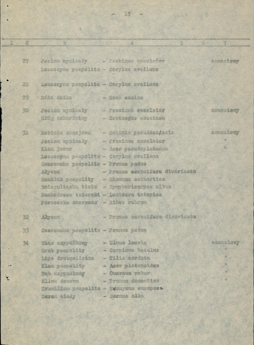 Ewidencja parkowa, skan nr 23