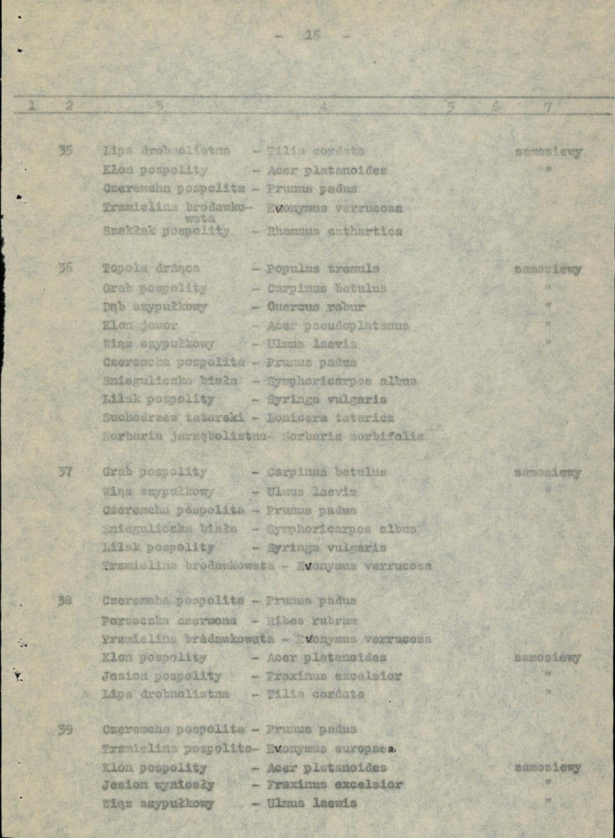 Ewidencja parkowa, skan nr 24