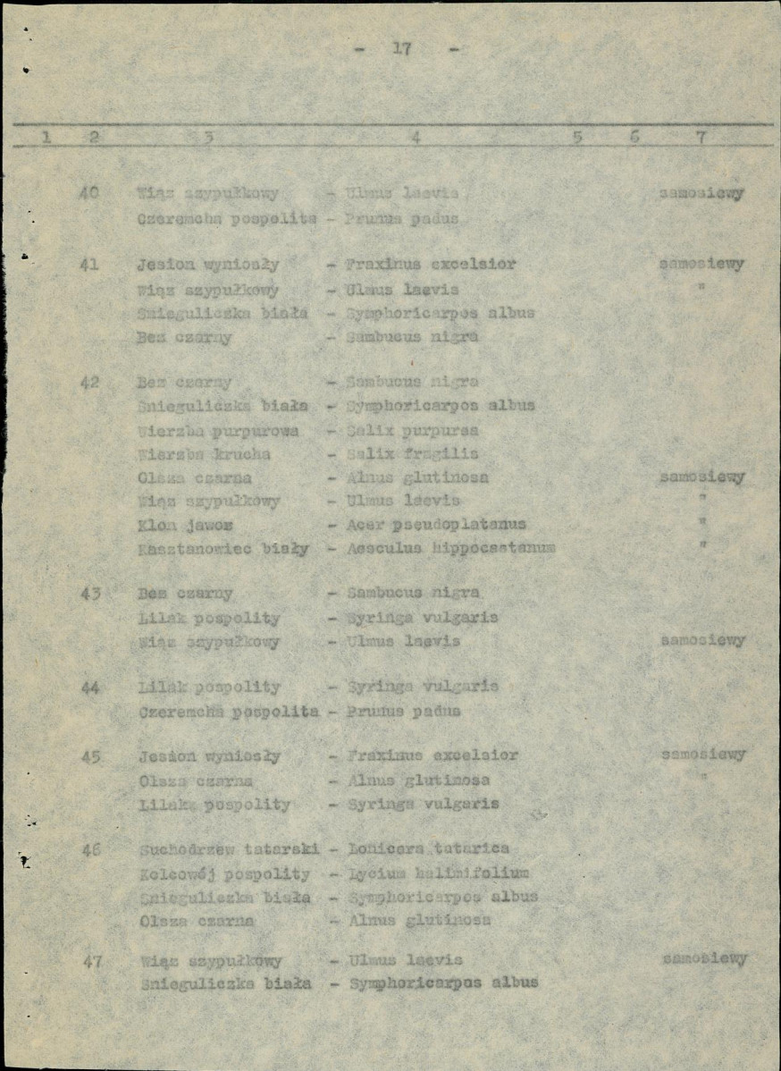 Ewidencja parkowa, skan nr 25