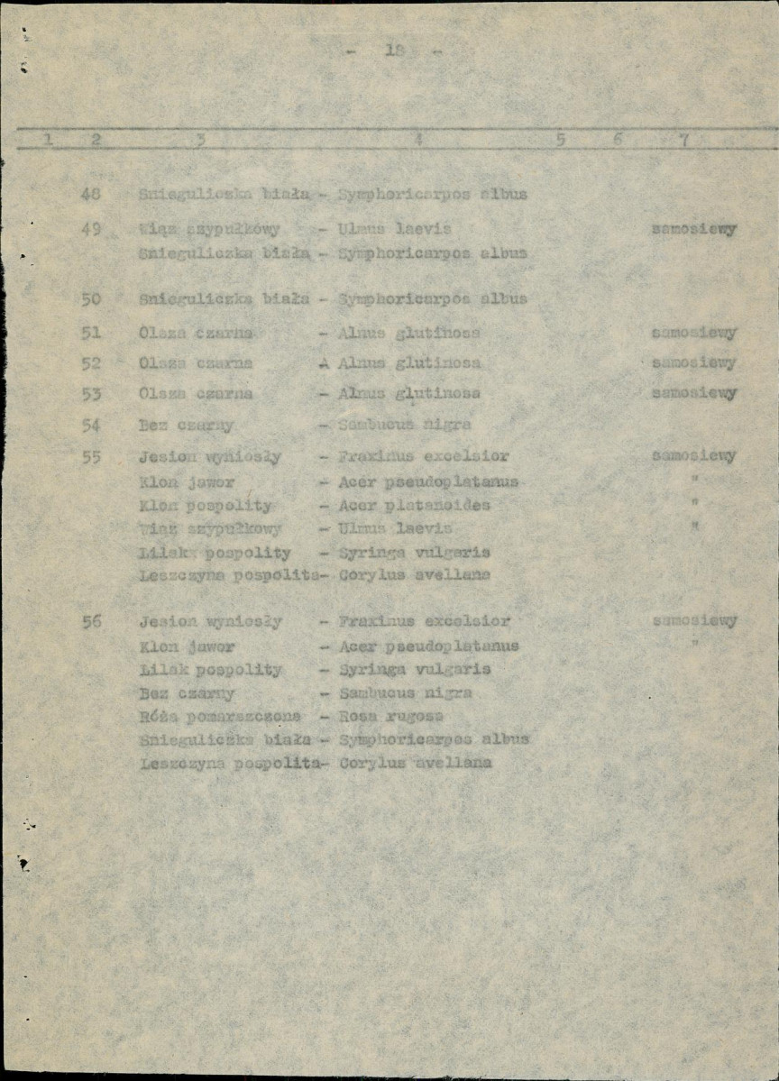 Ewidencja parkowa, skan nr 26