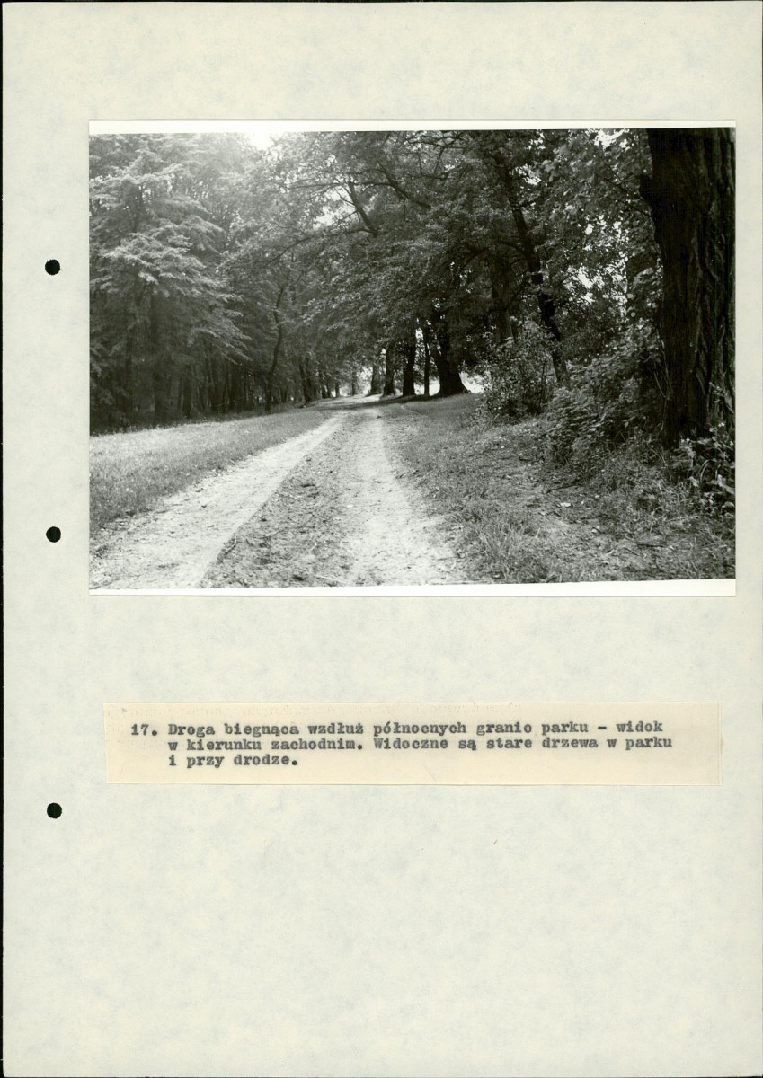 EP - Ewidencja parkowa, skan nr 48