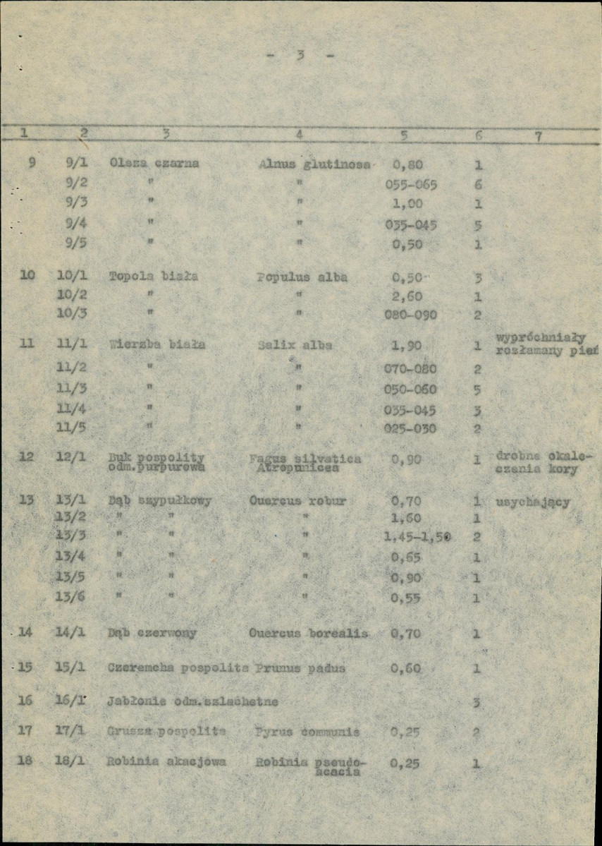 Ewidencja parkowa, skan nr 10
