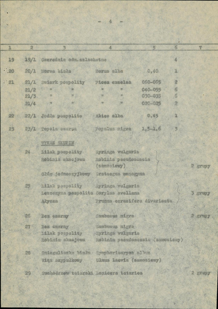 Ewidencja parkowa, skan nr 11