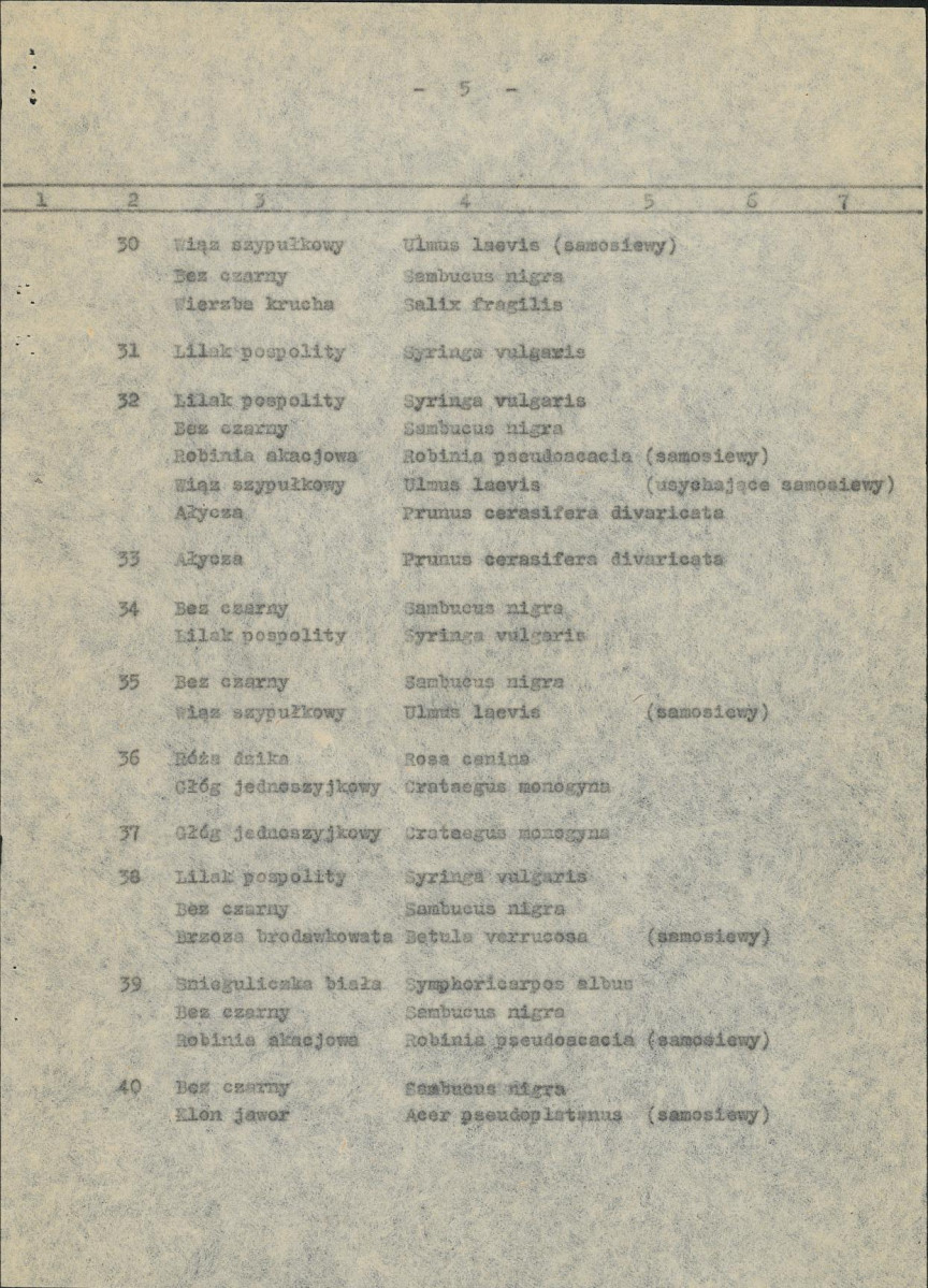 Ewidencja parkowa, skan nr 12