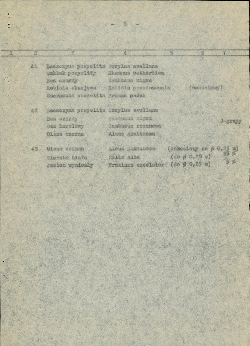 Ewidencja parkowa, skan nr 13