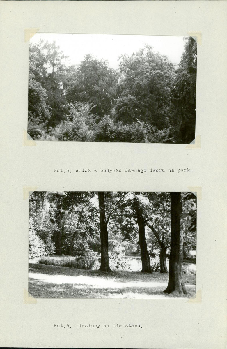 Ewidencja parkowa, skan nr 16