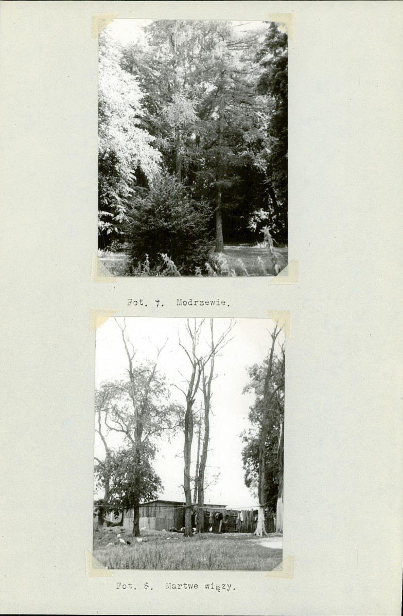 Ewidencja parkowa, skan nr 17