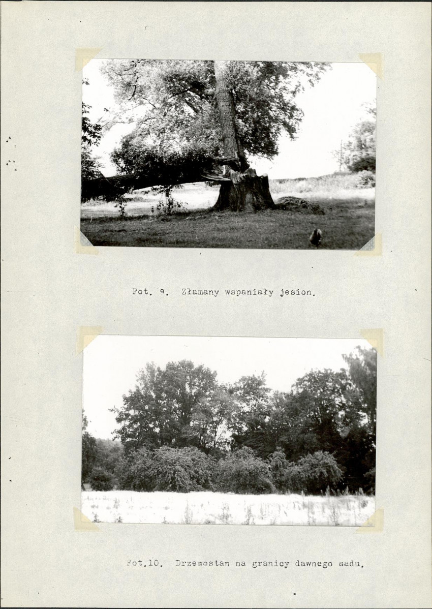 Ewidencja parkowa, skan nr 18