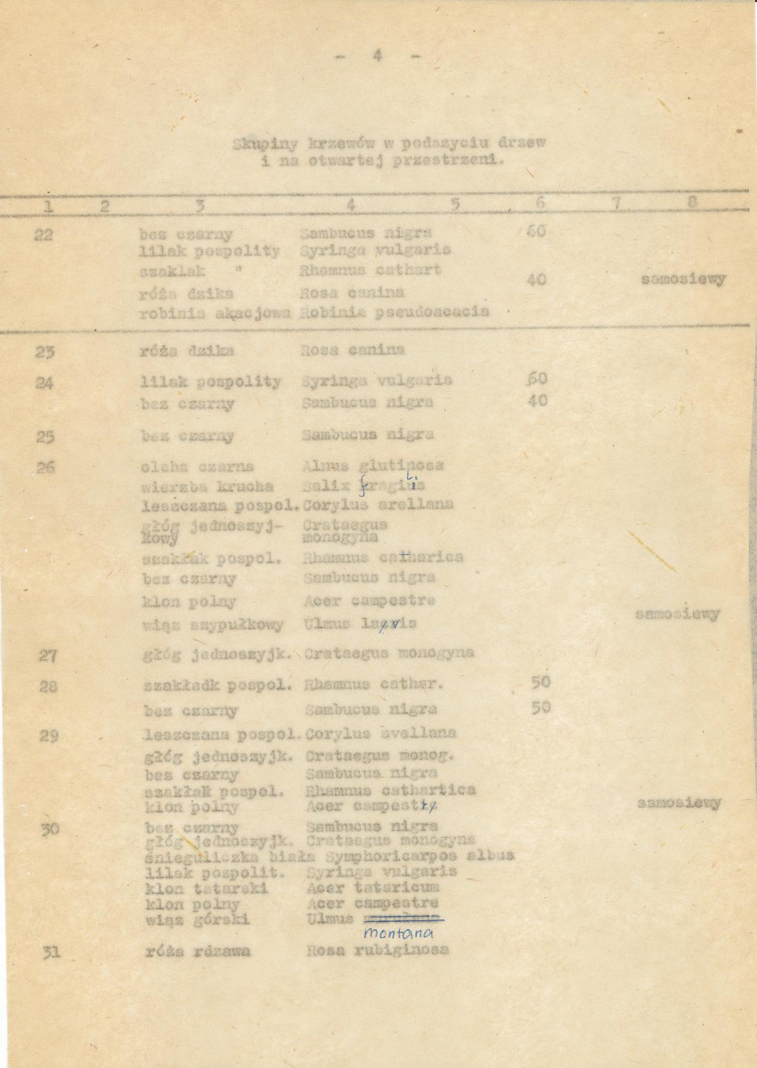 Ewidencja parkowa, skan nr 11