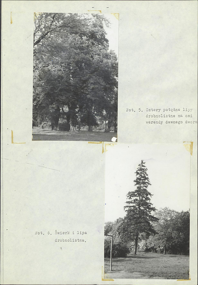 Ewidencja parkowa, skan nr 14