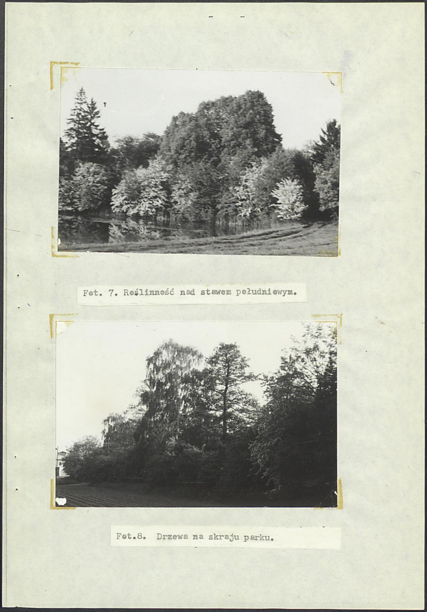 Ewidencja parkowa, skan nr 15